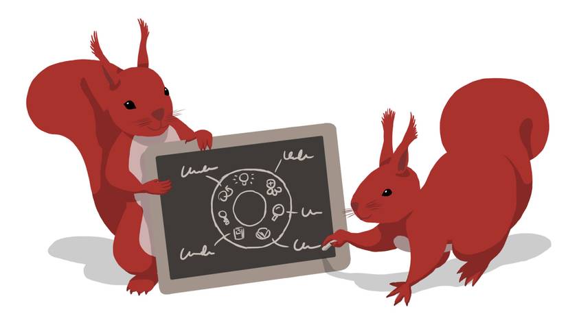 Squirrels teaching the datalife cycle