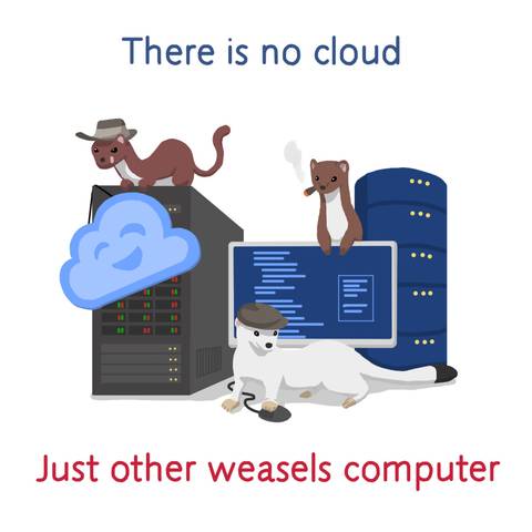 Weasels stealing data with their suspicious cloud servers